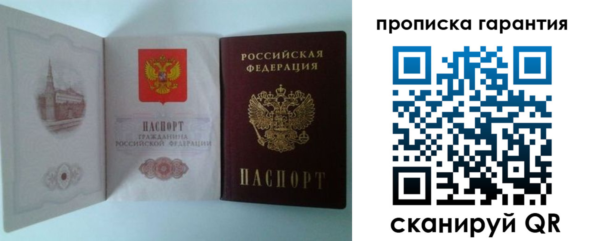 прописка для работы в Мурино